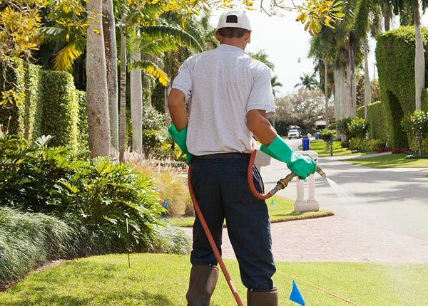 About Afton WY Pest Control